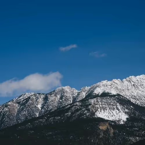 Brakes Favors Mysterious