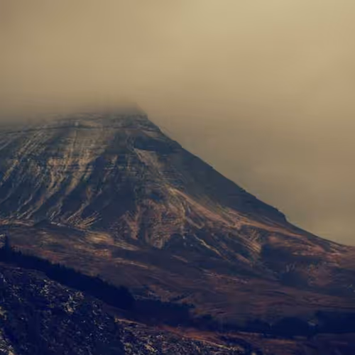 Optimum Large Delight