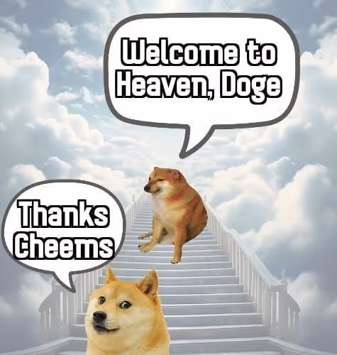 RIP DOGE