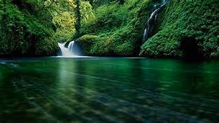 nature