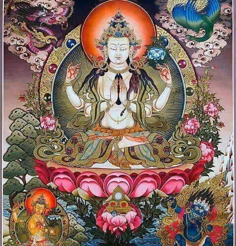 0x53aacacfc440a126b67e6af5562162a54ecc772d