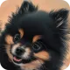 WoofMoof