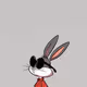 blackRabbit_oss