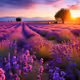 Lavender collection