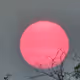 The Sun