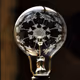 Bulb