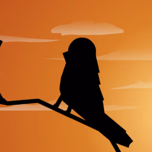 Birdmate in the Sunset