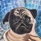 Zora Posts