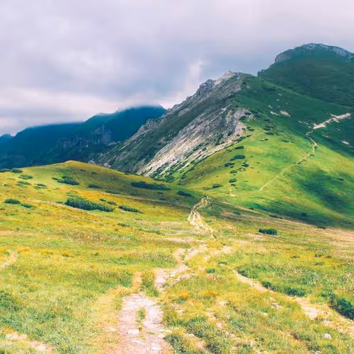 Together Clarity Divide