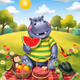 hippo