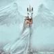 Fly