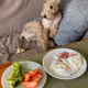 Dogs
