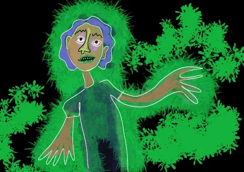 Animation