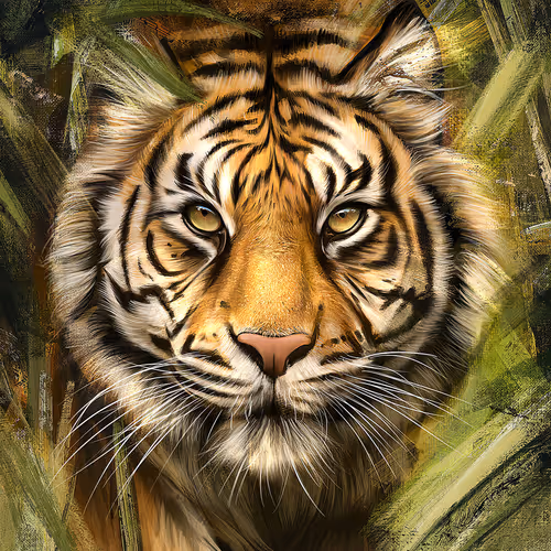 Ancient tiger collection