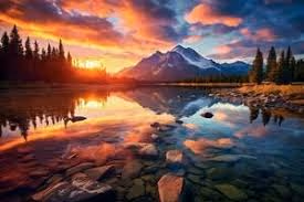 beautyful pond