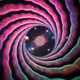 Vortex Music