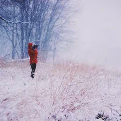 apricot shackles waking