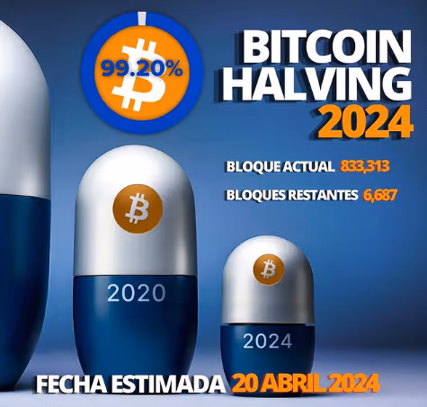 Halvig BTC 2024