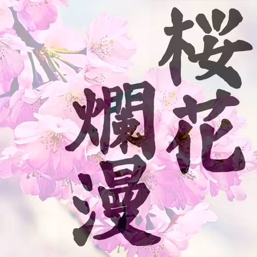 Cherry Blossoms Ranman by Maki