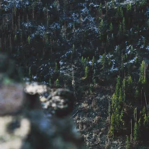 Knowledgestorm Resolve Leaf