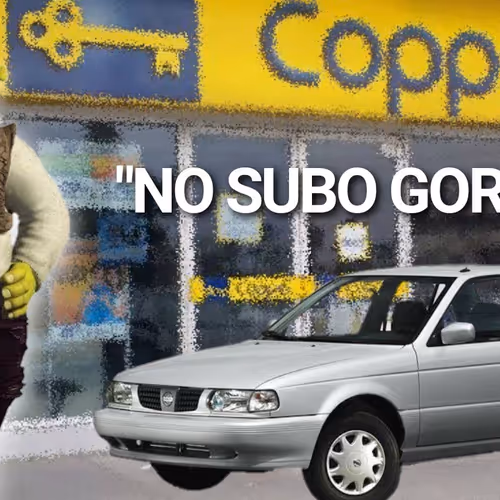 Shrek NFT - edición COPPEL