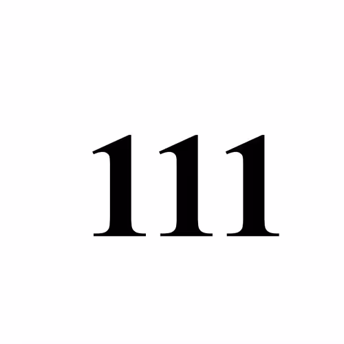 111:111