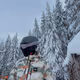 Winter Vibes