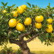 Lemontree