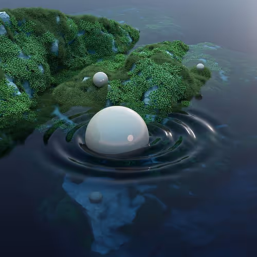 Enchanted Zorb