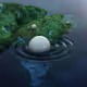 Enchanted Zorb