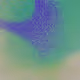 Nature's Digital Enigma