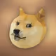DOGE ON ZORA