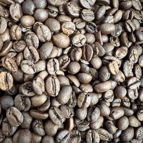 Arabica