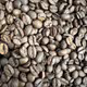 Arabica