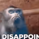 Disappointed Ape