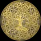 Zorb of Wealth