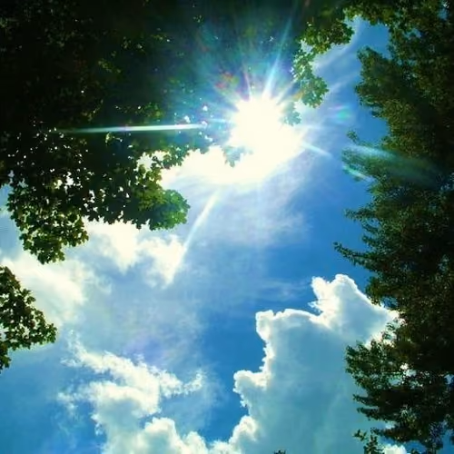 Shining