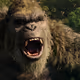 kong