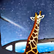 funny giraffe