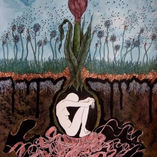 Beetween mind and heart