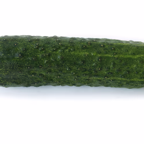 Cucumber