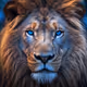 Azure-Eyed Majestic Lion
