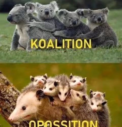 MEME