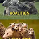 MEME
