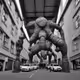 Giants