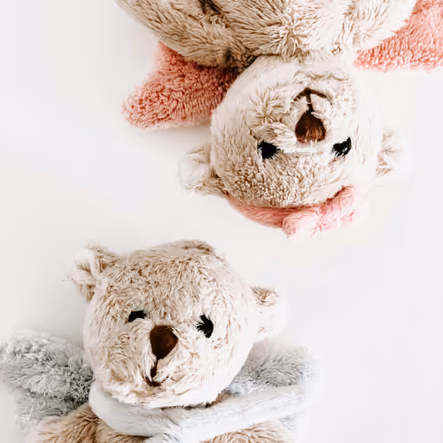 toy