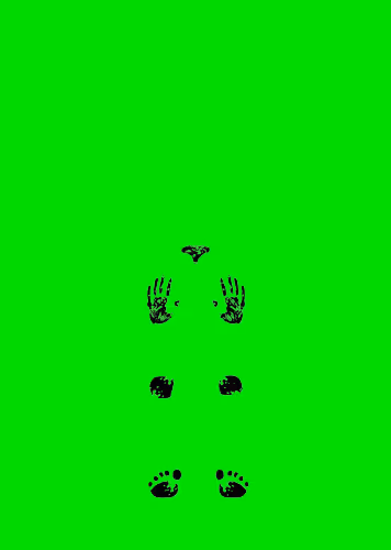 Card of tarrot