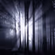 beam from trees