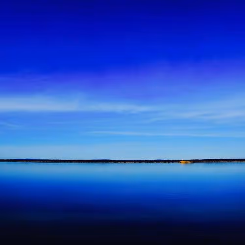 Bibliographic Jimmy Tanks