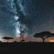 African Lights